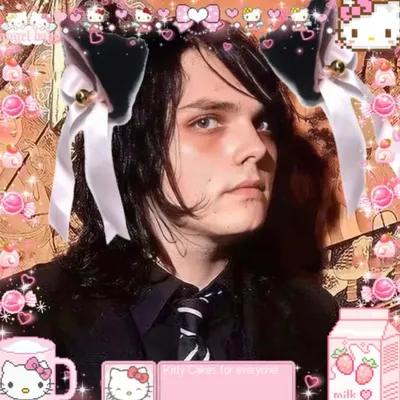 doll is dead profile