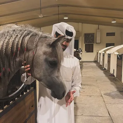 Abdulla sultan almerekhi profile