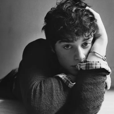 Noah Schnapp profile