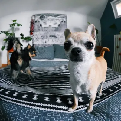 ๐๐ช๐ด๐ฒ, ๐ข๐ฑ๐ฒ๐น๐น๐ธ ๐ช๐ท๐ญ ๐๐ฎ profile