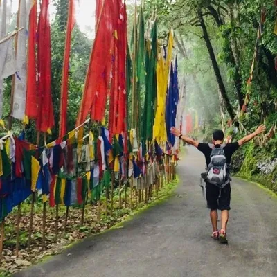 Nonviolence & Peace profile