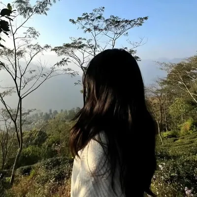 profile