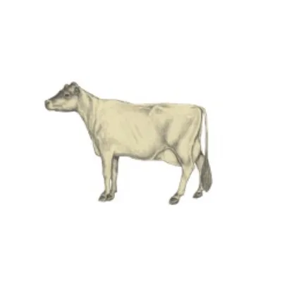 NorCal Organic profile