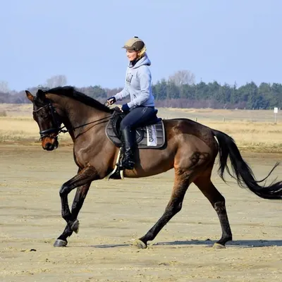 Nini ⚓️ EQUESTRIAN profile