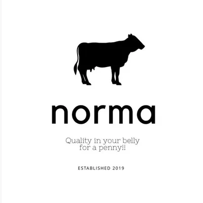 norma profile