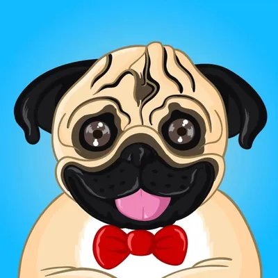 Norman Da Pug ( ๐ค) profile