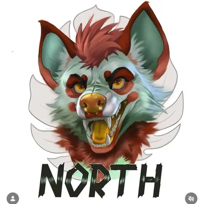 NORTH profile