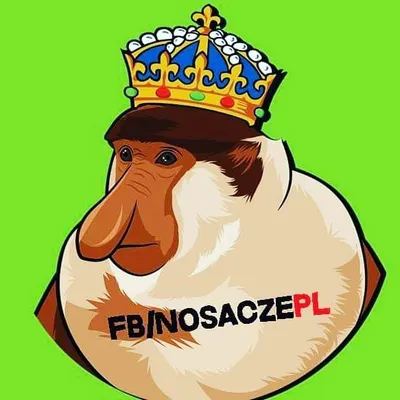Nosacze polskości profile