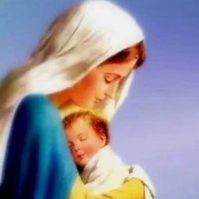 Nossa Senhora cuida de mim profile