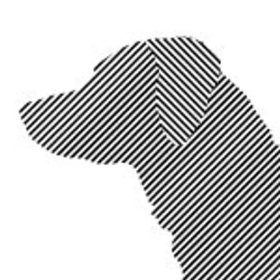 JEAN // NOTCOT profile