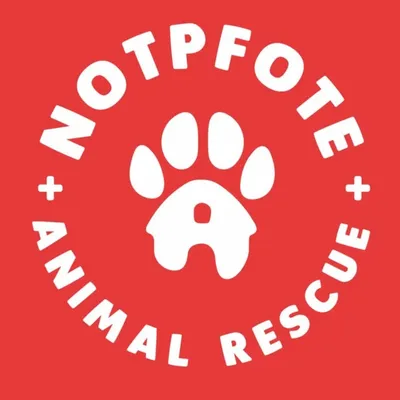 Notpfote Animal Rescue e.V. profile