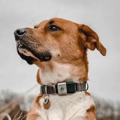 Cooper Griffin profile