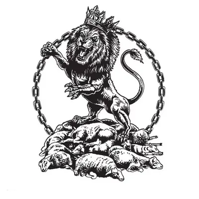 noturningbackhc profile