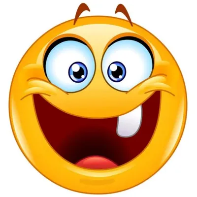 Noughty Memes profile