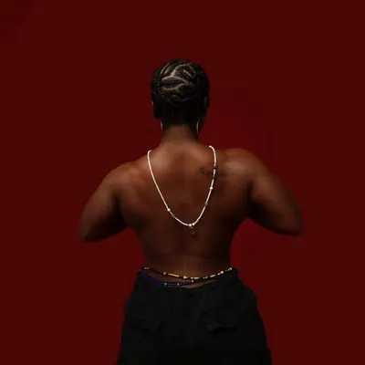 profile