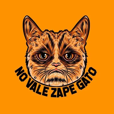 No Vale Zape Gato profile