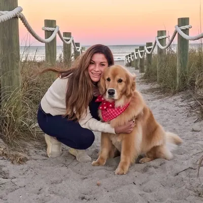 Nova & Hudson | Golden Retrievers profile
