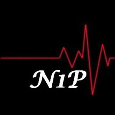 N1P profile