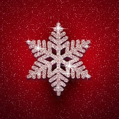 North Pole LLC/Santa’s Website/Santa Claus profile