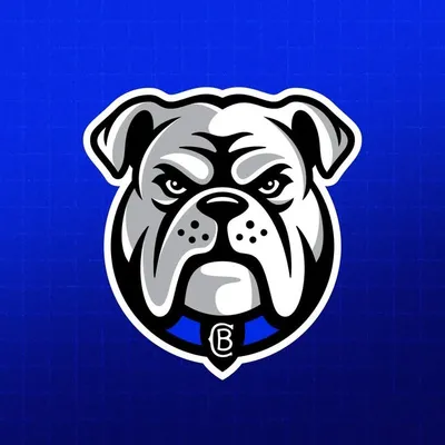 Canterbury-Bankstown Bulldogs profile
