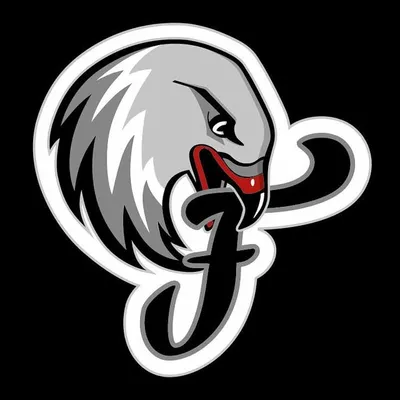 Nürnberg Falcons BC profile