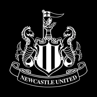 Newcastle United profile