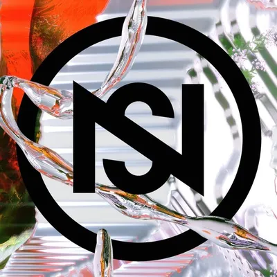 Nuits sonores profile