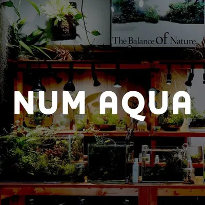 num_aqua profile