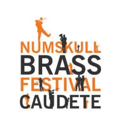 Numskull Brass Festival profile