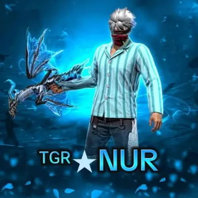 Nur hasan ansari profile