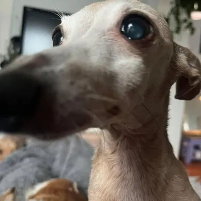 nutling.co.za profile