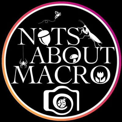 Nuts About Macro profile