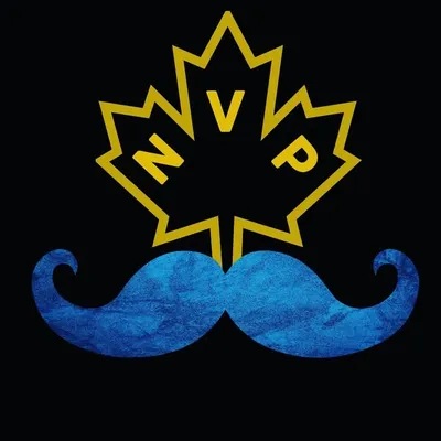 NVPindianmedia profile
