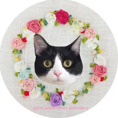 はちわれ猫なつこ(*ฅ́˘ฅ̀*) profile