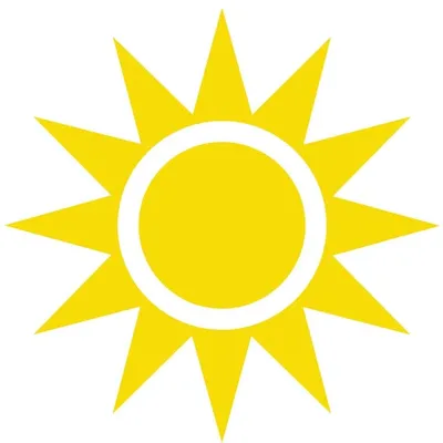 TV4 Nyhetsmorgon profile