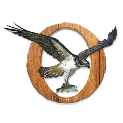 Oakland Nature Preserve profile