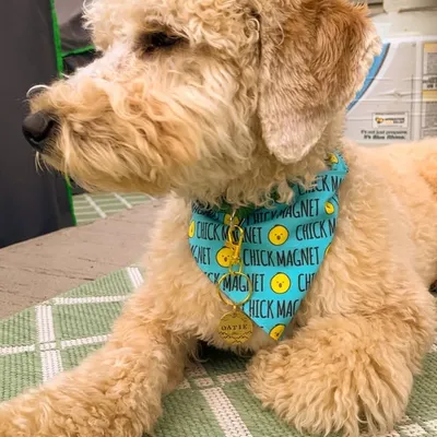Otis profile