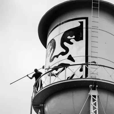Shepard Fairey profile