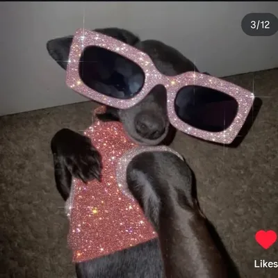 Sonam Yadav profile