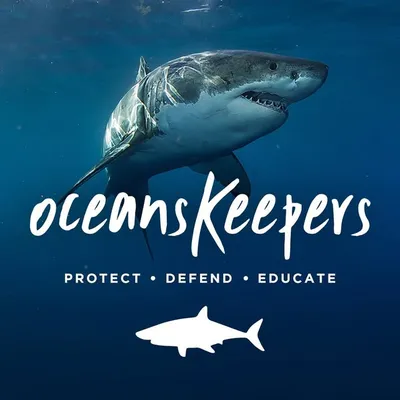 Oceans' Keepers ๐ฆ Save Sharks profile