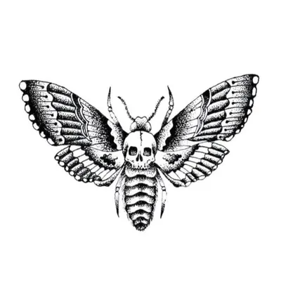 NXT SHOP UPDATE: TBA profile