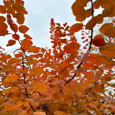 ॐ ♡ שלומ ♡ Bonjour yogis profile