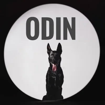 Odin profile