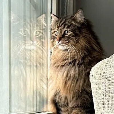 Ragnar profile