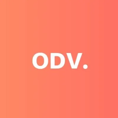 Open Door Ventures Ltd profile