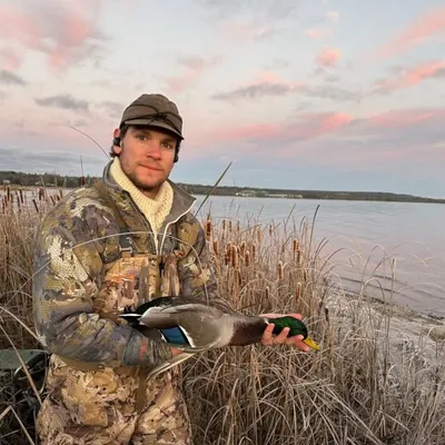 Shawn O'Dwyer profile