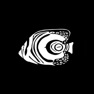 Oevaali Art Shop | Maldives profile