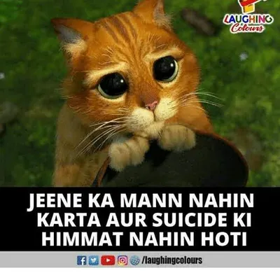 Official_Ansh__Vyas profile