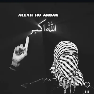 🕊️muslim✨ profile