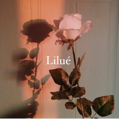 Lilué profile